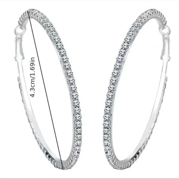 Large Full Rhinestone Hoop Earrings Silver - Picture 5 of 5